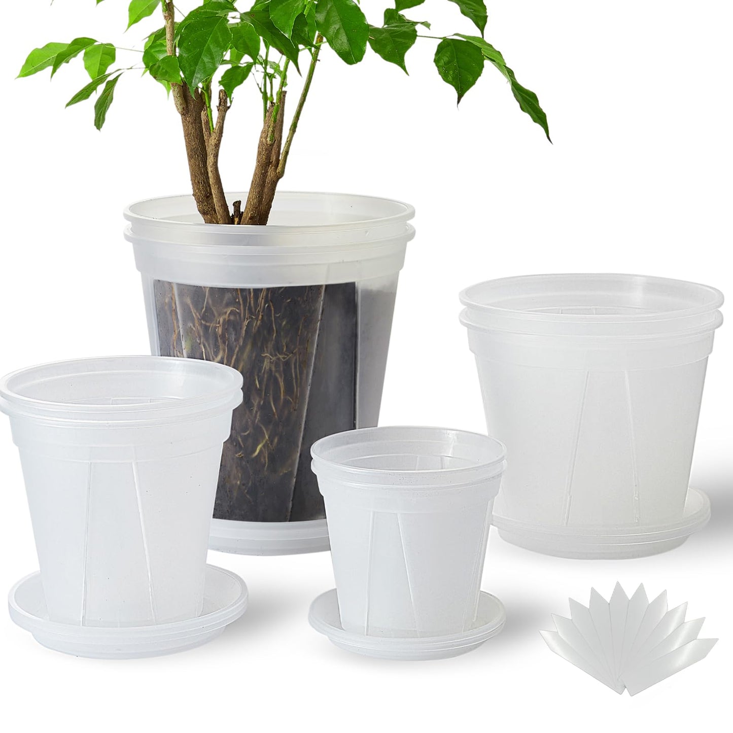 TineDew 8 pcs 8/7/6/5 inch Clear Nursery pots for Plants with Drainage and Saucers,Thickened Plastic Plant pots for Reporting Orchids,Aroid,Monstera, Indoor & Outdoor use