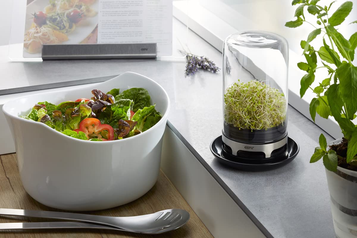 Sprouting JAR (Black)