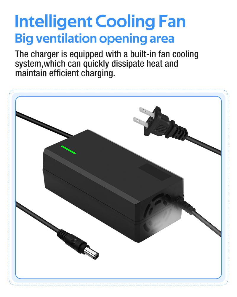 54.6V 3A Charger, Charging Speed is 100% Fast Than 1.5A and 50% Faster Than 2A,6 Plug for Various Lithium Batteries, Such as Lawn Mower and Wheelchair Lithium Batteries, etc. (3A-6 Plugs)