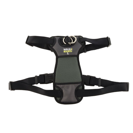 Coastal Walk Right Dog Harness with 2 Leash Clips, No-Pull Adjustable Soft Padded Dog Vest, Extra Large, Anti Slip & No Choke Vest, Black