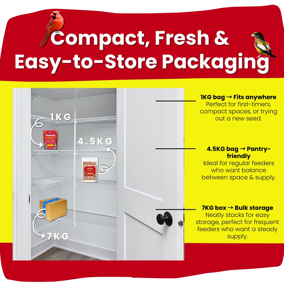 Chirp & Maple, Peanuts for Wild Birds, No Shell, Wild Bird Food, 4.5KG (10LB) Bag