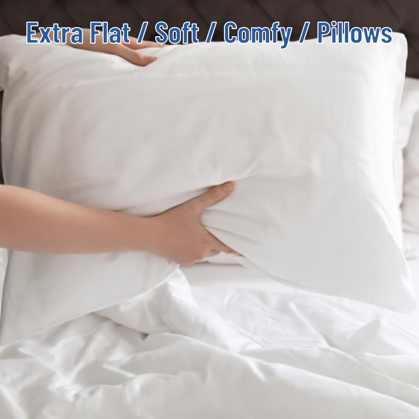 SILUI Flat Soft Thin Pillows for Sleeping Queen Size Set of 2 Pack Low Bed Pillow with Down Alternative Fill for Side Back Stomach Sleepers, 20x30 Inches, White