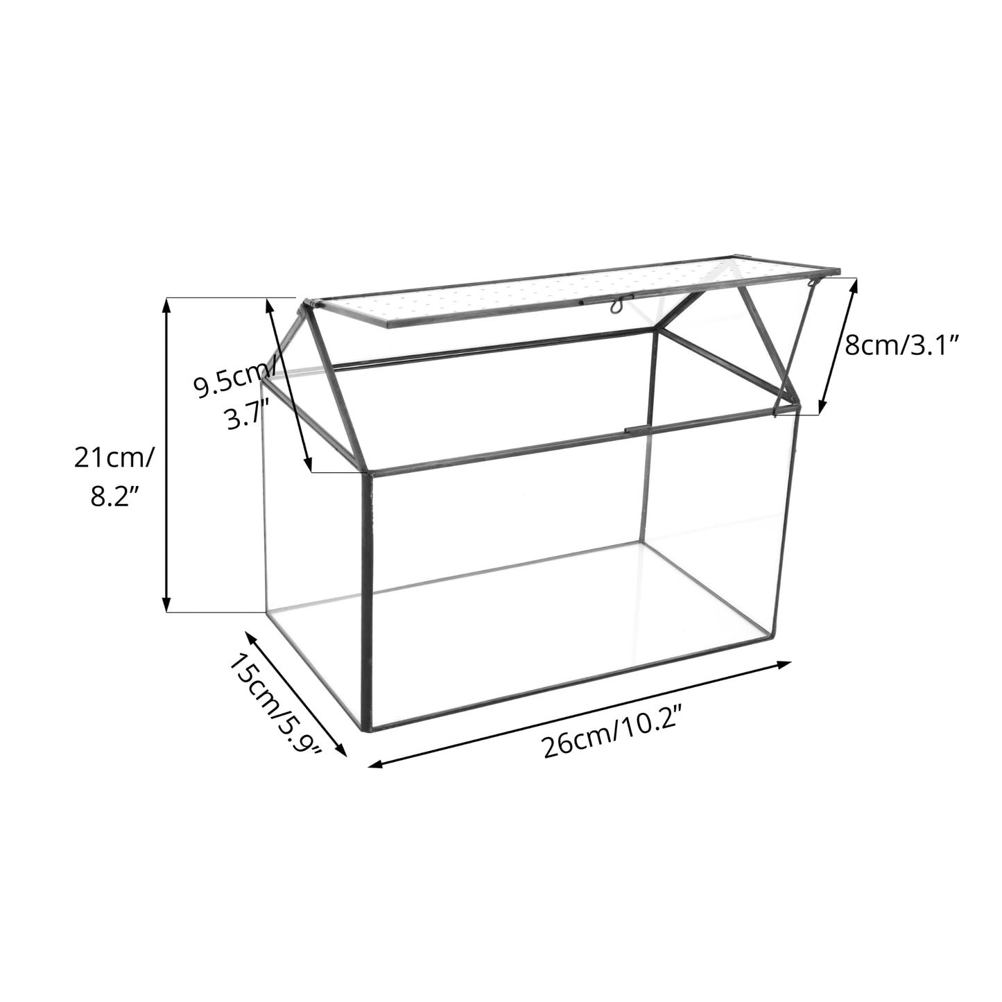 NCYP Glass Terrarium with Acrylic Lid, 26x15x21 cm, Large Geometric House Shape Clear Box for Snails, Ferns, Succulents, Air Plants, Indoor Tabletop Decor, Black (Terrarium Only)
