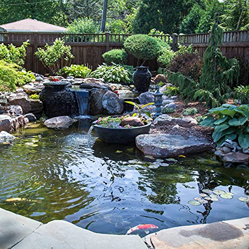 Aquascape Prevent for Fountains and Waterfalls SL - 32 oz / 946 ml, Reduces Fountain Maintenance with Clarifiers, Prevents White-Scale Buildup and Stains, Safe for Birds and Plants, 96094