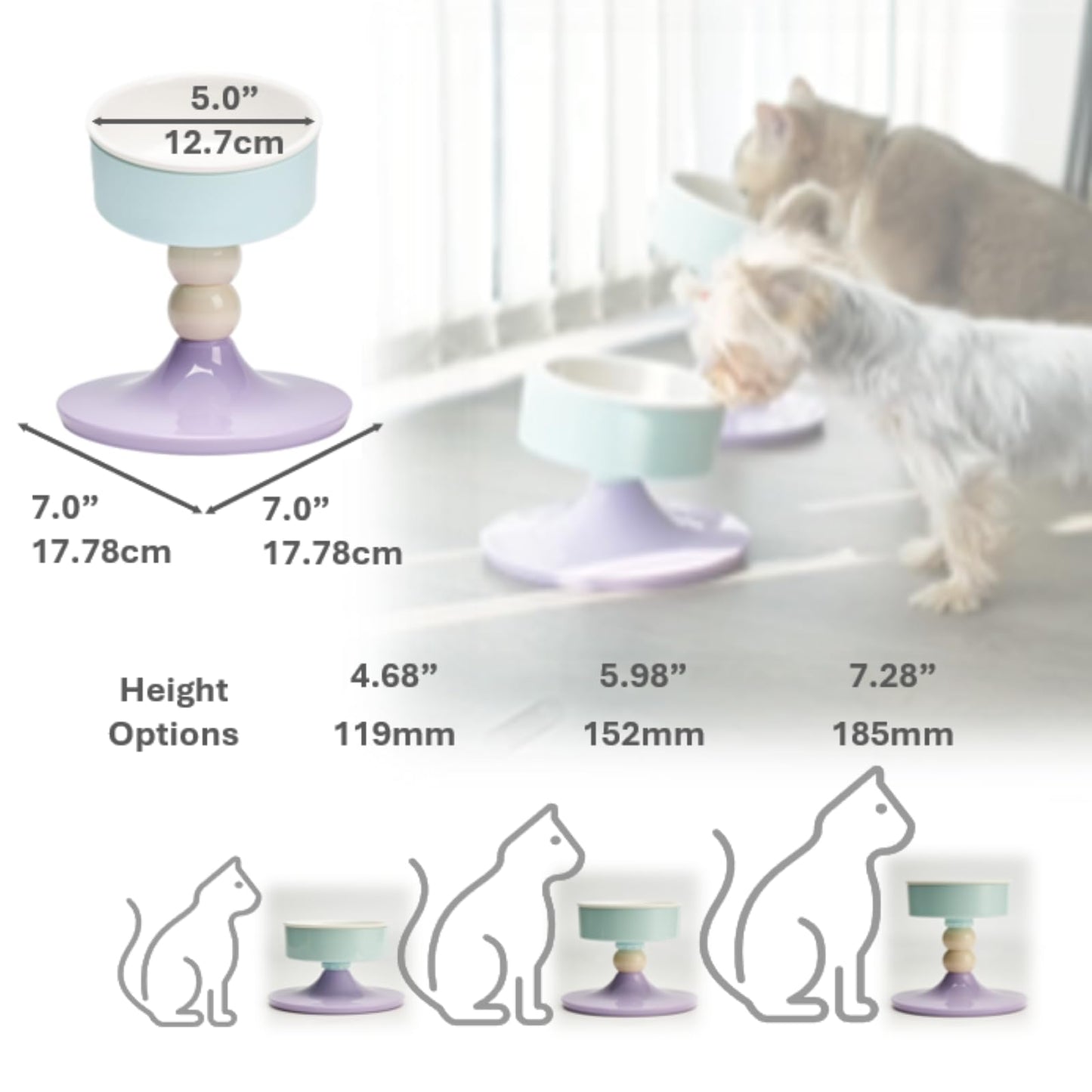 AvitaPaws Elevated Pet Bowl