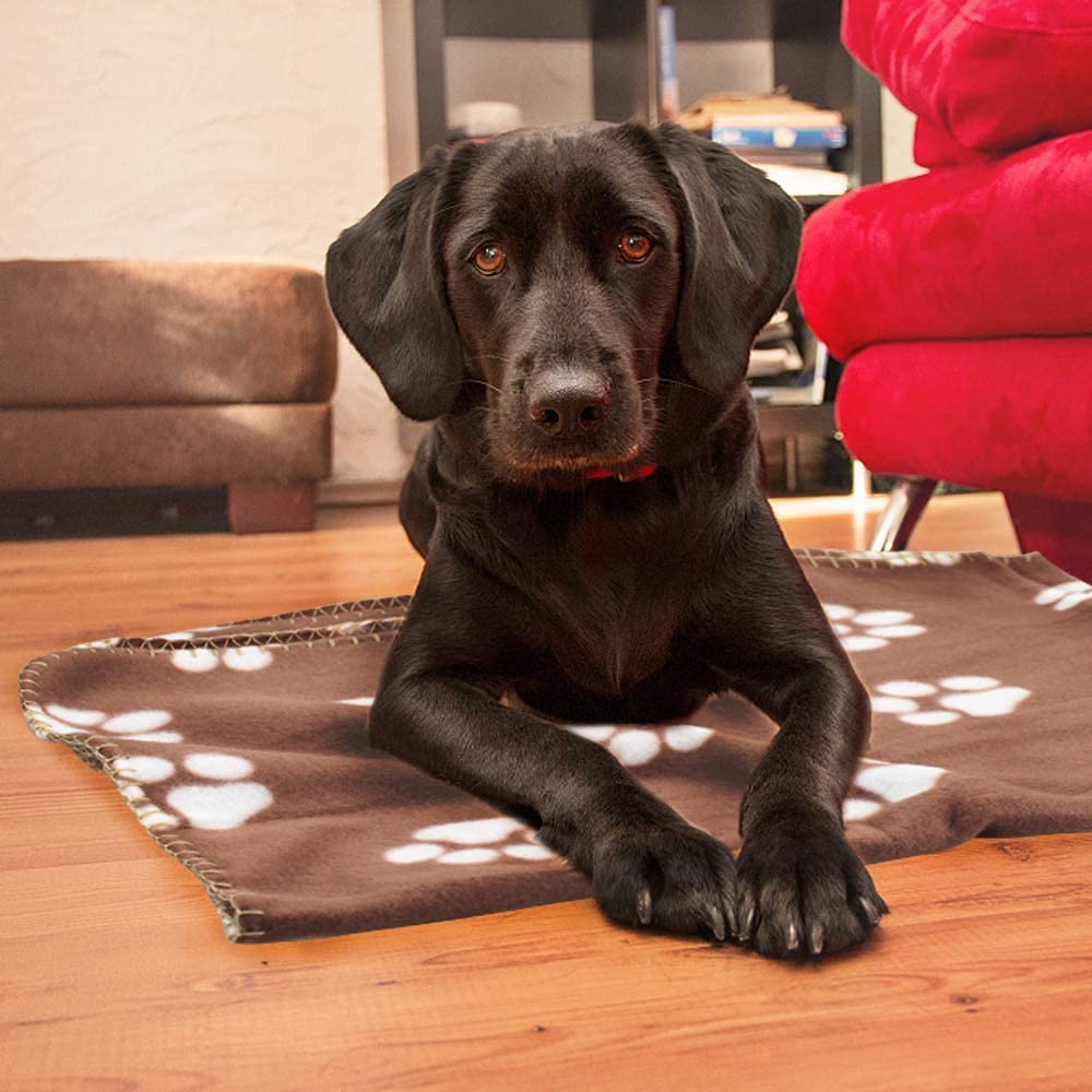 12 Pieces 39 x 28 Inch Pet Blankets with Paw Print Dog Cat Soft Fleece Blanket Sleep Mat Pad Bed Cover for Kitten Puppy and Other Small Animals (4 Colors)