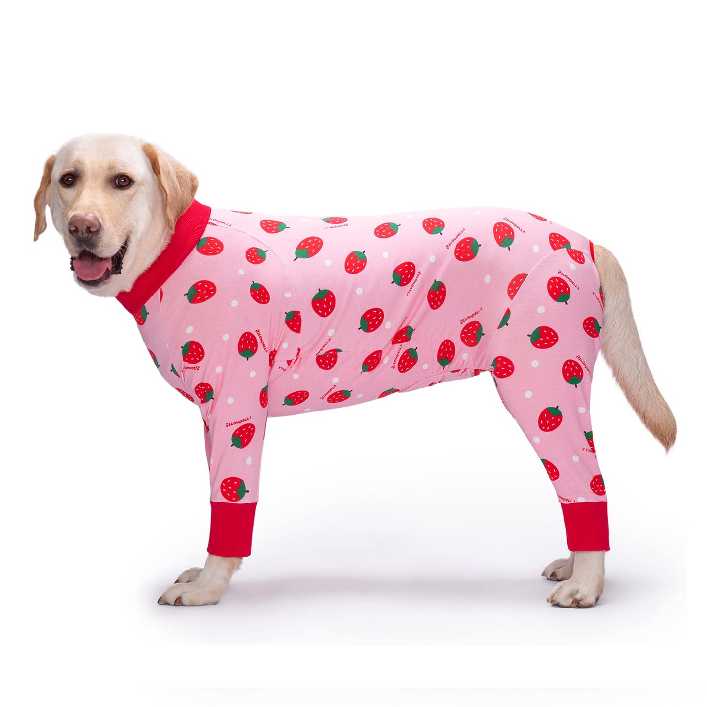 Yeapeeto Dog Recovery Suit After Surgery Female Male, Soft Long Sleeve Neuter Shirt Cone Alternatives Prevent Licking Surgical Onesies for Large Medium Dog Shedding Suit(4XL, Strawberry)