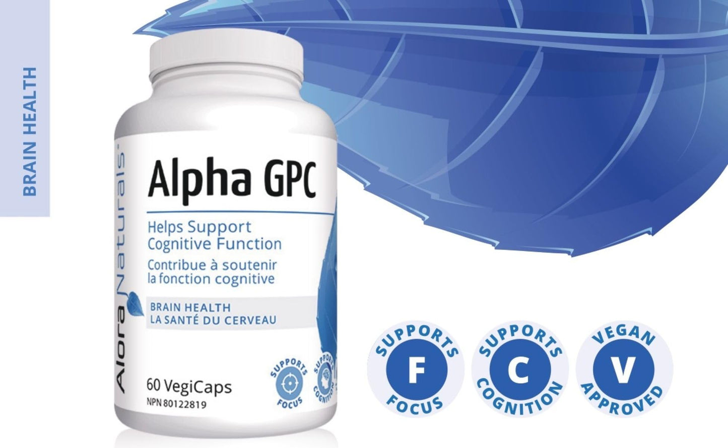 Alora Naturals Alpha GPC 600mg | High-Potency Choline Supplement for Brain Health, Focus & Memory | Acetylcholine Nootropic for Cognitive Support | Vegan, Non-GMO | 60 Capsules (Pack of 2)