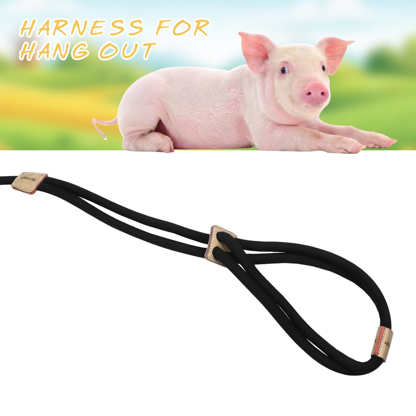 MinrzPet Pig Harness, Adjustable 8 Feet Leash for Small to Medium Pet Pigs