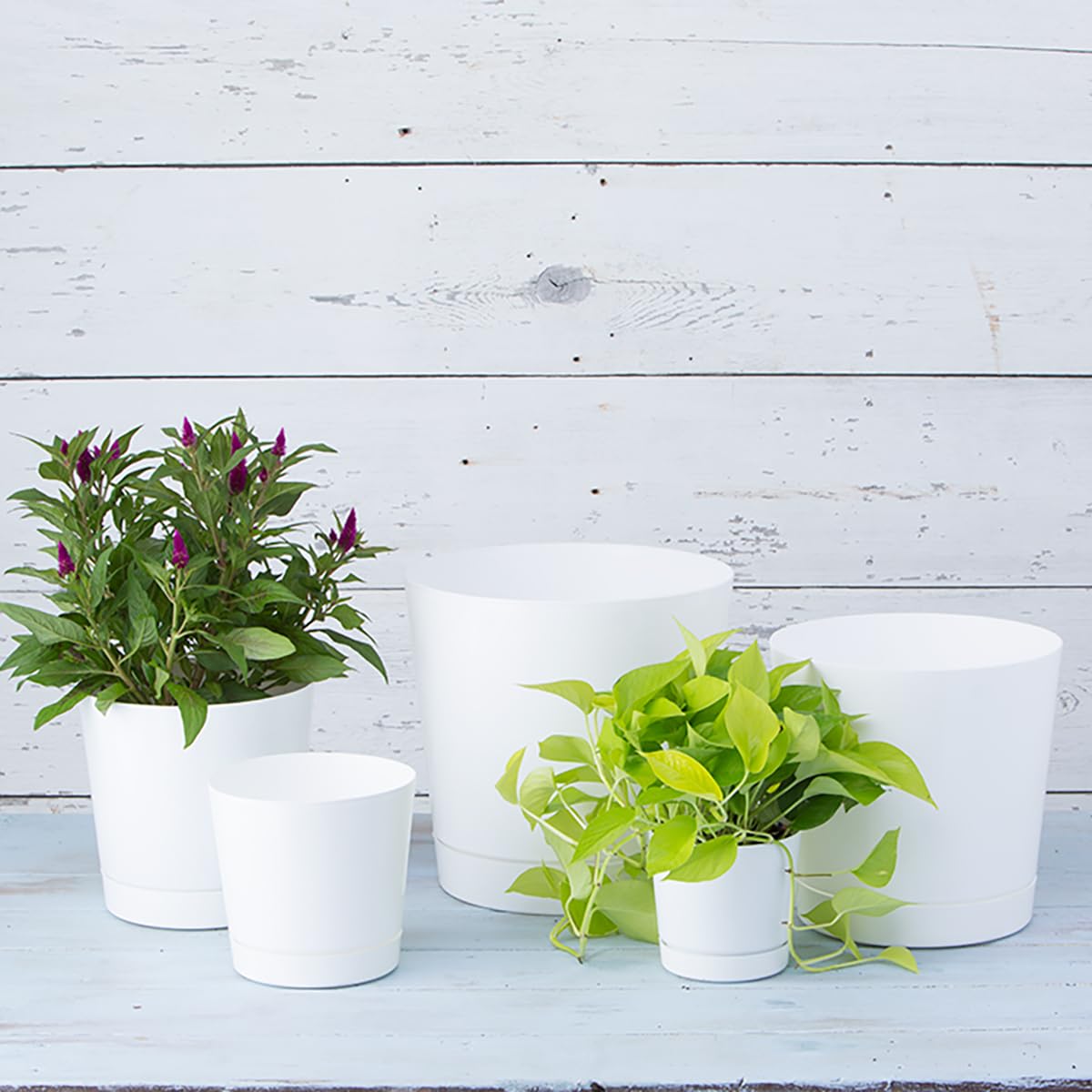 Novelty Mfg Co 10122 Full Depth Round Cylinder Pot, White, 12-Inch