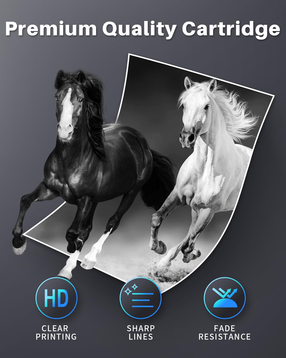 (with CHIP) MLT-D111S Toner Cartridges Compatible Replacement for Samsung MLT-D111S D111S 111S MLT111S for Samsung M2020w M2070fw M2020 M2070 M2070w M2024w M2022w M2071W Printer (2 Black, 2-Pack)