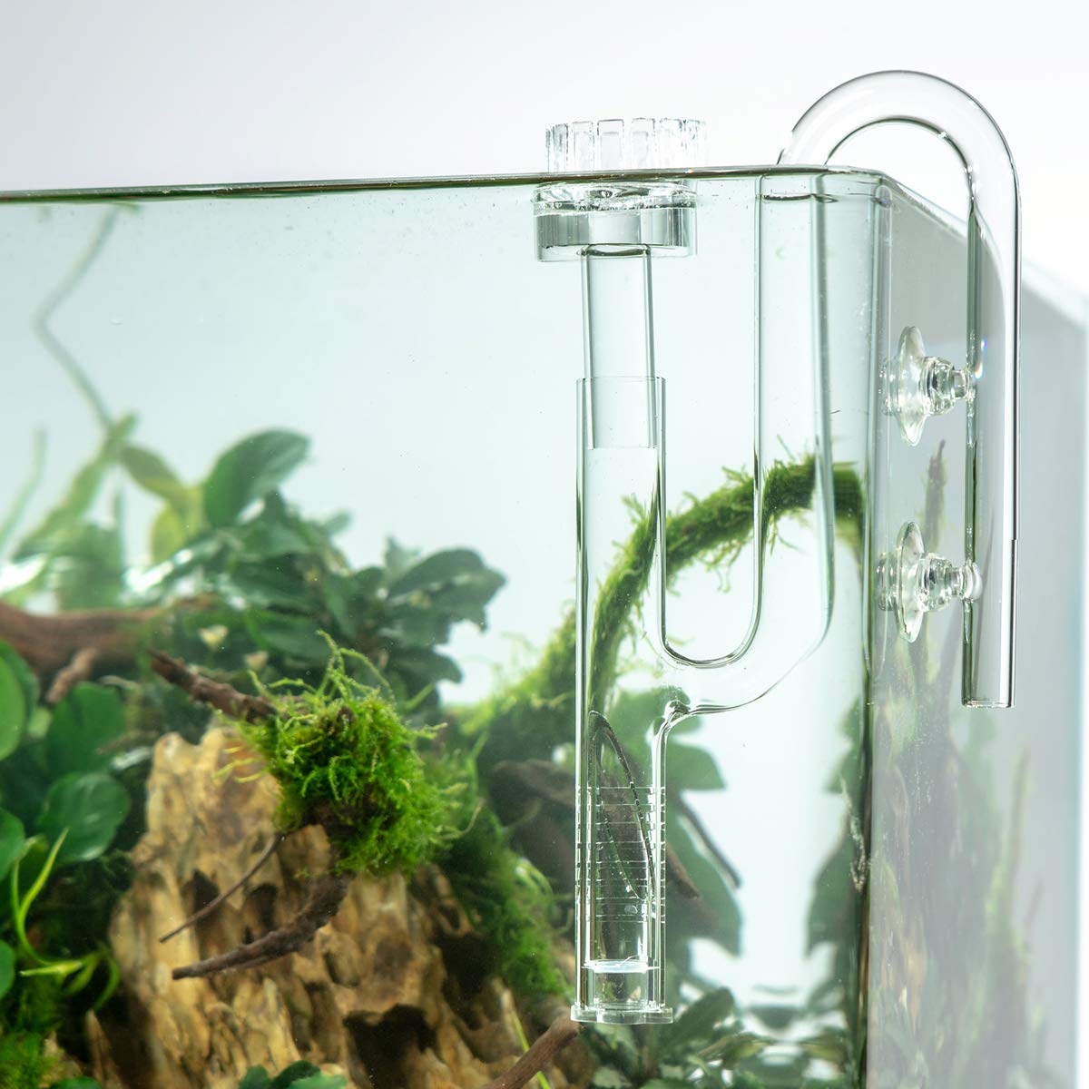 FZONE Aquatic Glass Lily Pipe Set with Lily Skimmer Inflow and Lily Outflow for Aquarium Filter 1/2''(12/16mm) Tubing