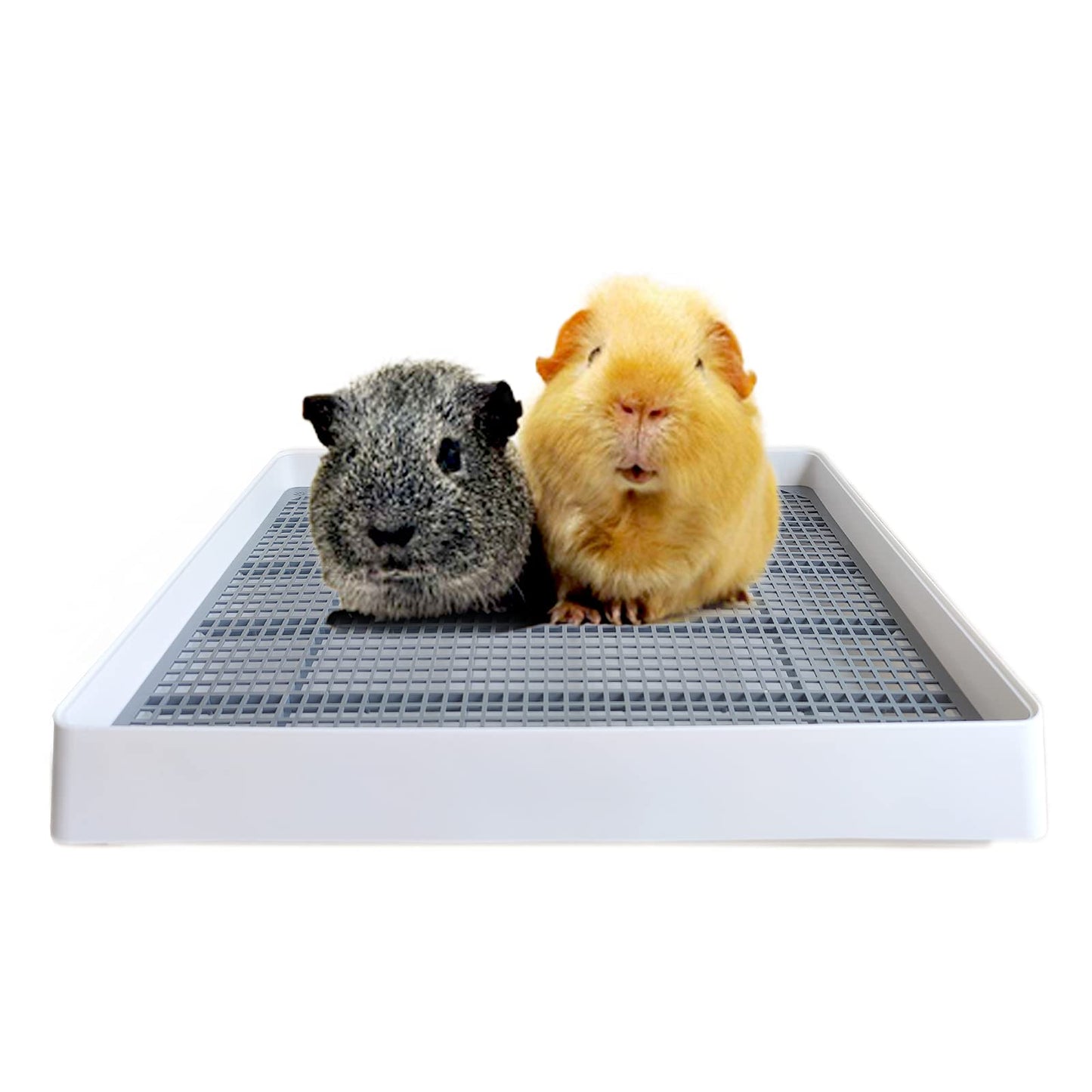 PODOO Rabbit Large Litter Box, Guinea Pig Training Pan Cage with Toilet Tray, Ideal for Rats, Hamsters, Ferret, Bunny Small and Medium Animals, 15x12x3 Inches (Medium)