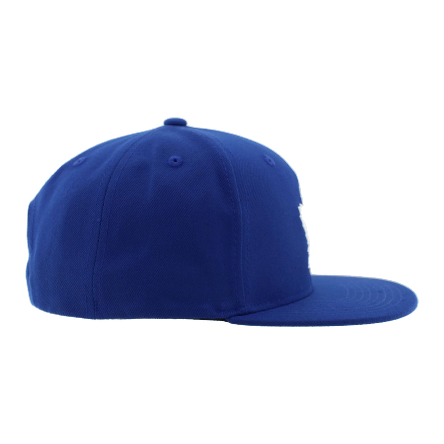 ZHATS Standard NHL Officially Licensed Adjustable Snapback Hat Flat Bill Z11 Icon Team Color