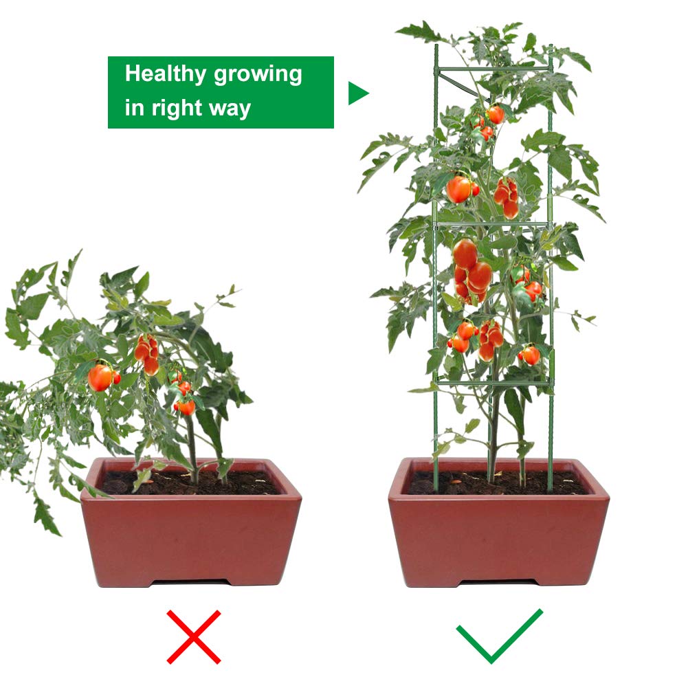 flowlamp Tomato Cages Supports, 4 Pack Plant Support Deformable Assembled Cucumber Trellis, Up to 48IN Multi-Functional Tomatoes Cage Garden Trellis for Climbing Plants Outdoor