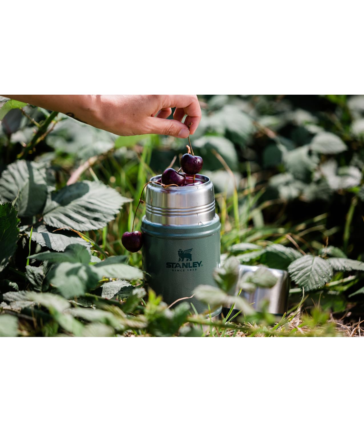 Stanley Classic Legendary Large Food Jar 24 oz | Vacuum Insulated Flask Food Container | Wide Mouth Screw On Lid | Packable for Travel | Stainless Steel & Leakproof Lid | Hammertone Green
