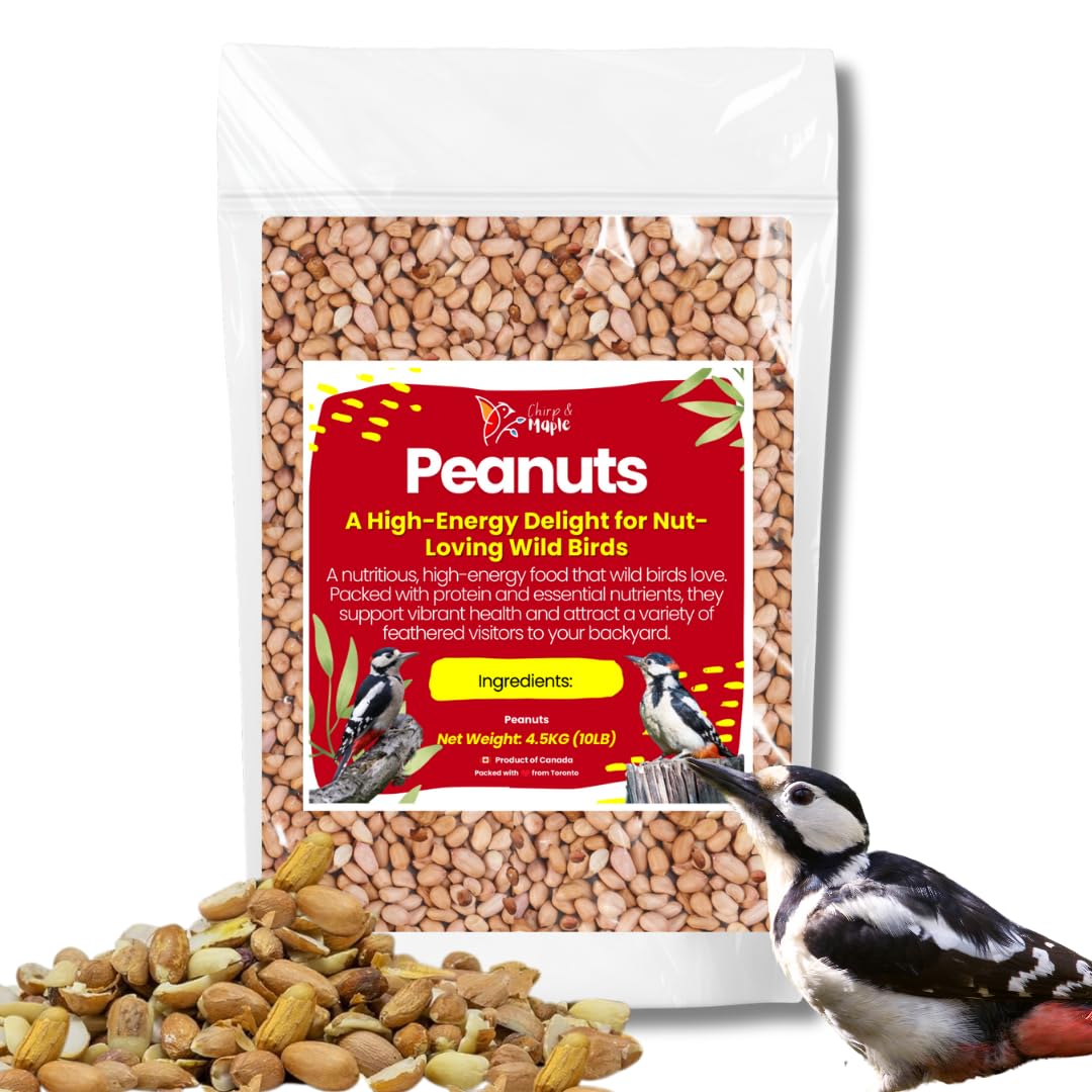 Chirp & Maple, Peanuts for Wild Birds, No Shell, Wild Bird Food, 4.5KG (10LB) Bag