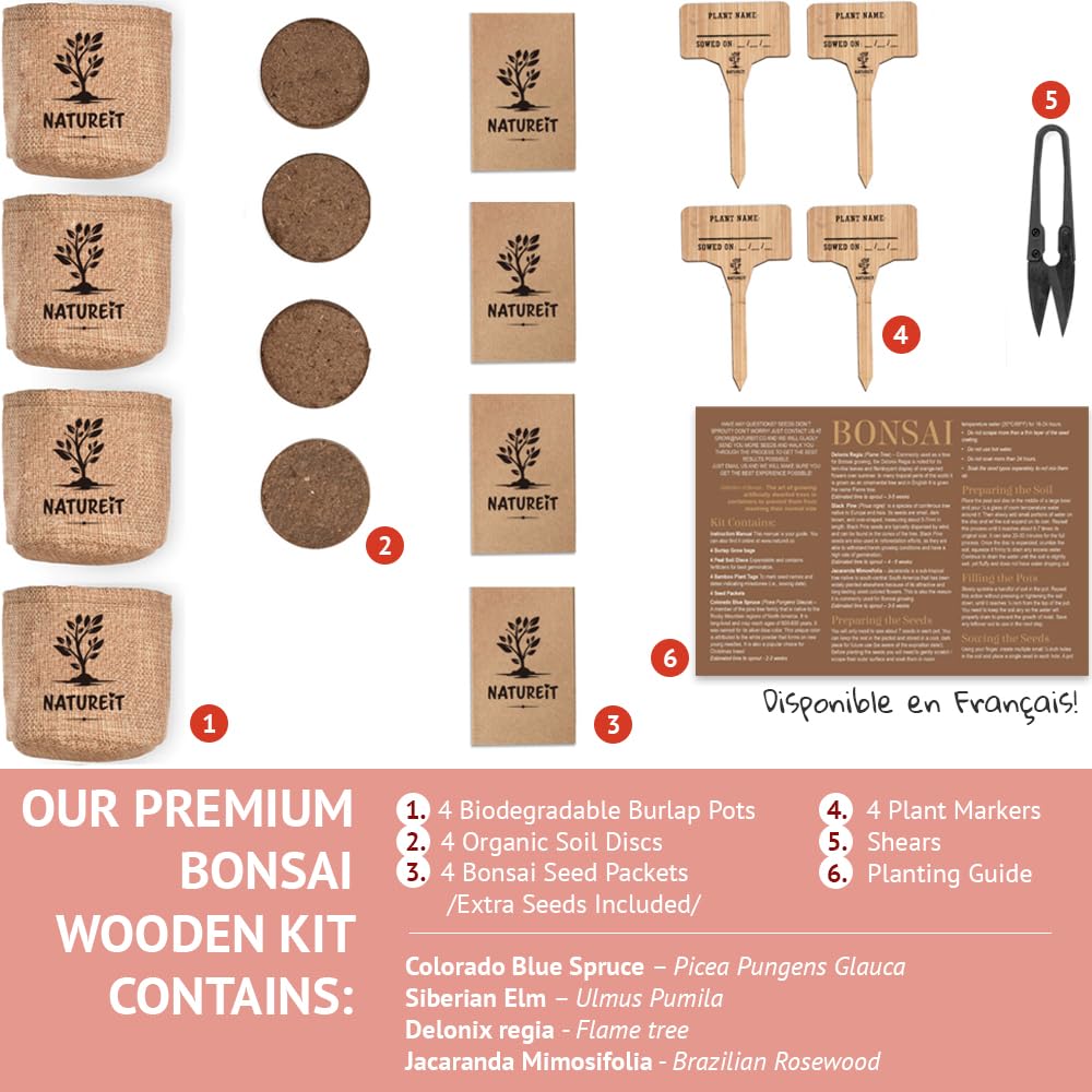 Bonsai Tree Seed Starter Kit - All You Need to Grow 4 Bonsai Trees from Seeds. All-in-One Indoor/Outdoor DIY Beginner Grow kit for Men & Women. Best Gift Idea for Mom and Dad (Premium Gift Box)