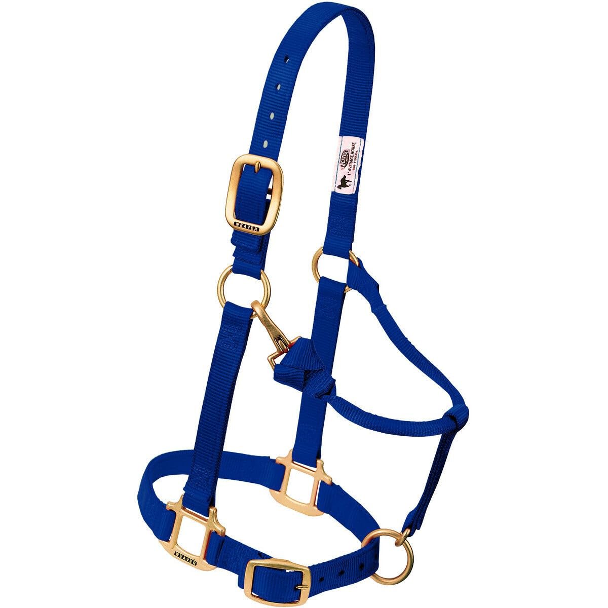 Weaver Leather Original Adjustable Nylon Horse Halter, Average Horse, Orange