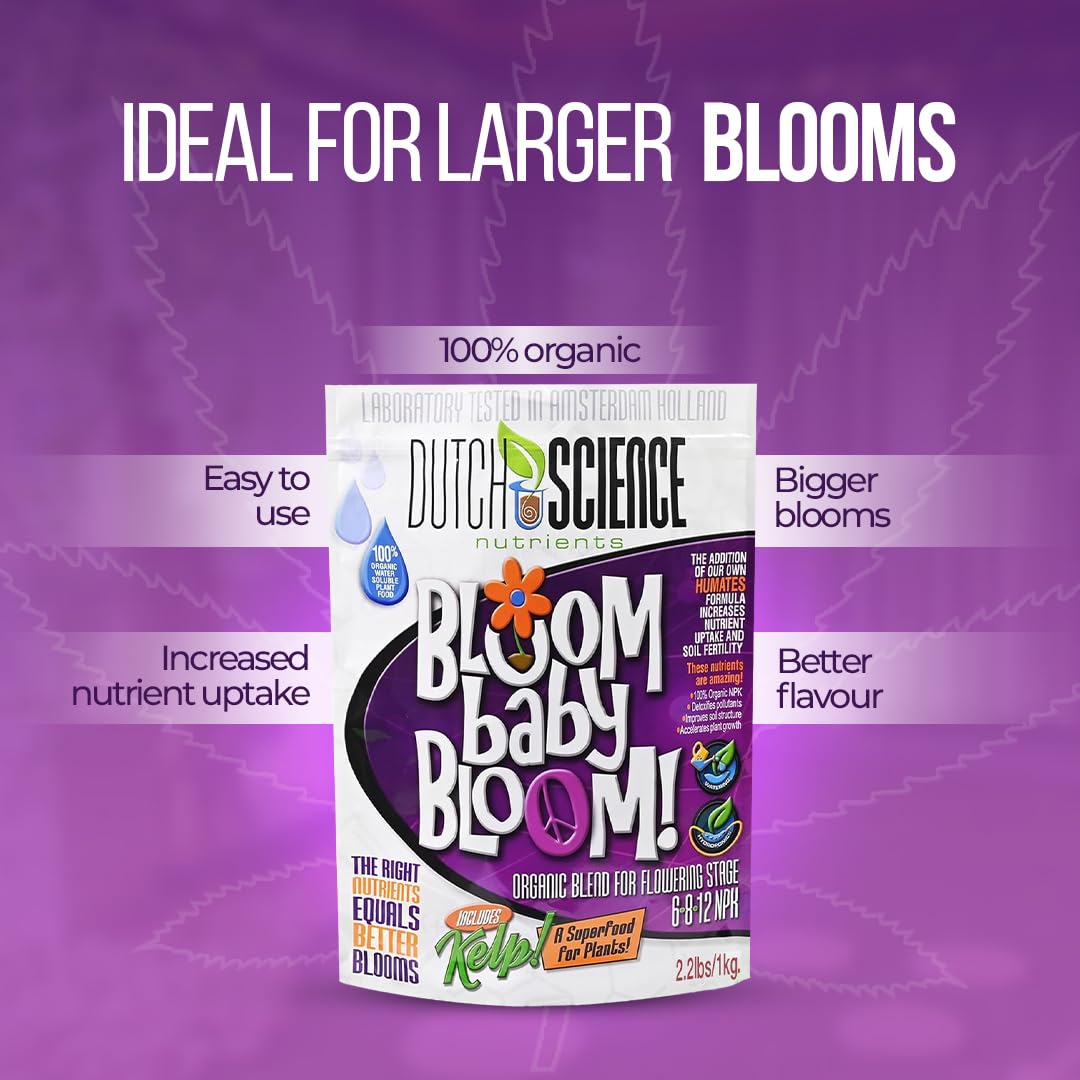 Dutch Science Nutrients Organic Fertilizer – Bloom Baby Bloom Large 1 Kg Size - Booster Fertilizer & Nutrition with 6-8-12 NPK | Organic Bud Booster for Strong Flower Growth | Outdoor & Indoor
