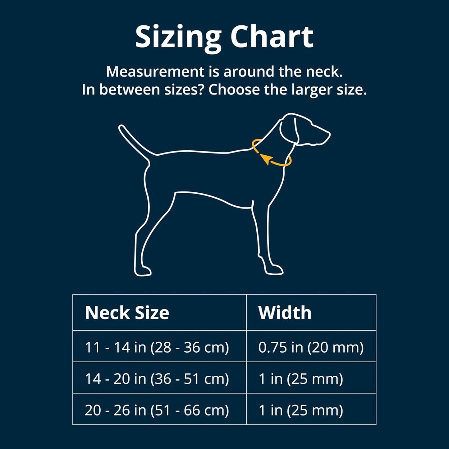 Ruffwear, Crag Dog Collar, Reflective and Comfortable Collar for Everyday Use, Rising Wave, 14"-20"