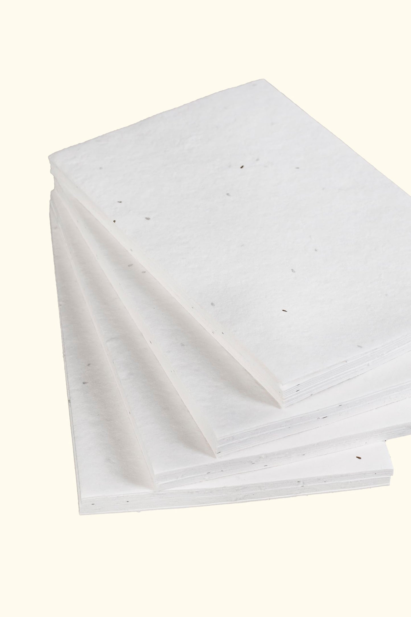 Wanderings Handmade Flower Seed Greeting Cards – 5" x 7" (12.5 x 18cm) – Pack of 25 – Plantable Wildflower Seed Paper for Invitations, Thank Yous & Greetings – 250 GSM Deckled Edge