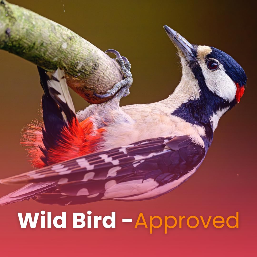 Chirp & Maple, Woodpecker’s Wonder, Suet for Wild Birds, Wild Bird Food for Woodpeckers (18-Pack), 5.4KG