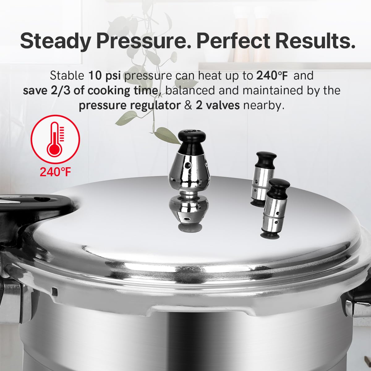 Fulgutonit 5.3 Quart Pressure Cooker, 10 Psi Induction Compatible Pressure Canner w/Multiple Pressure Control & Protection, Canning Rack Included