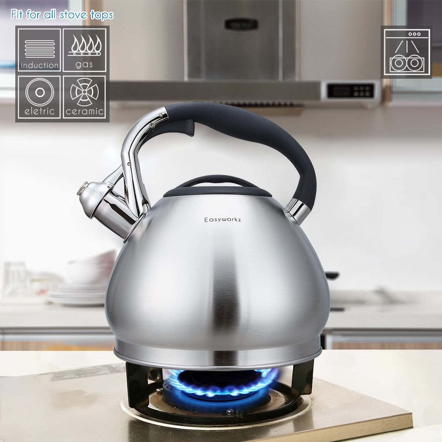 Easyworkz Whistling Stovetop Tea Kettle Food Grade Stainless Steel Hot Water Tea Pot with Loud Whistle,3.1 Quart(3.0l)