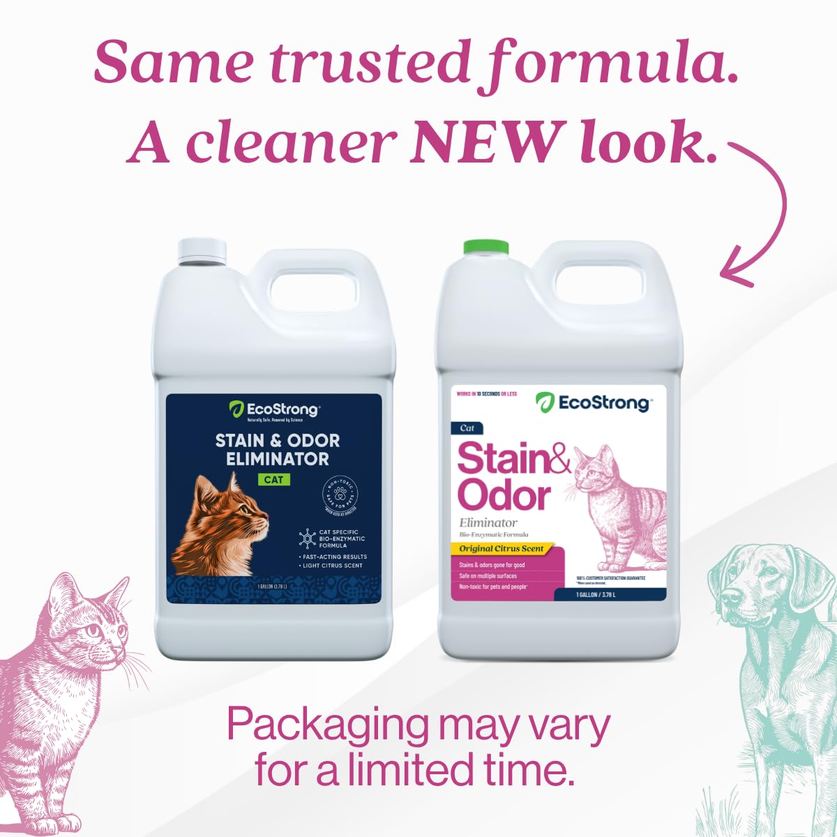 Cat Stain And Odor Remover | Enzyme Urine Odor Neutralizer - Stain Remover for Carpet, Litter Boxes, Bedding, and Laundry [Citrus Scent, 128 Oz]