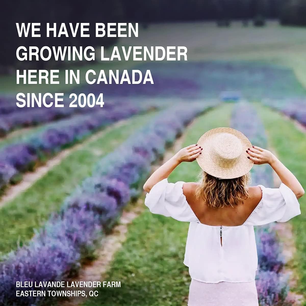 Bleu Lavande Linen Water – Fabric refresher – Made in Canada with True Lavender Essential Oil (1L Refill), transparent