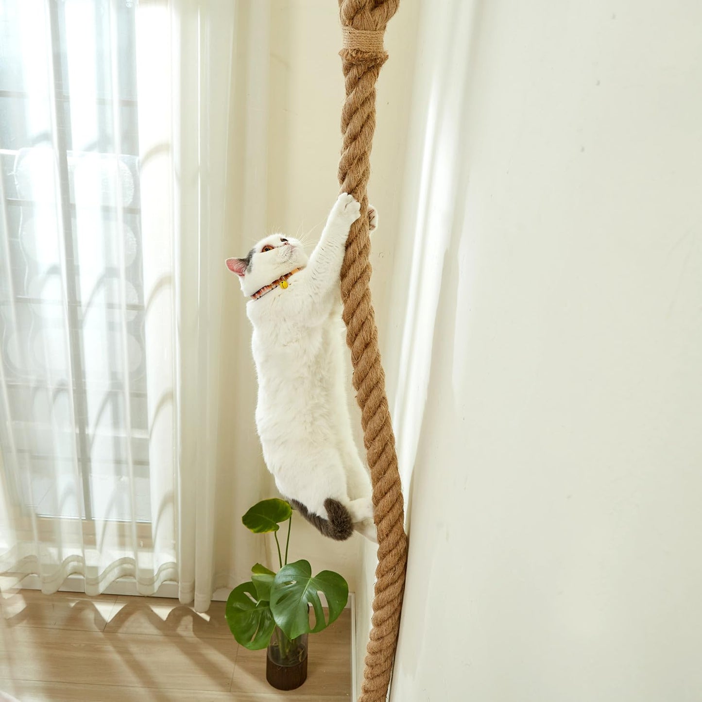 SHENGOCASE Cat Climbing Jute Rope with Hook, Wall Mounted Furniture Pole Scratching Post for Indoor and Outdoor Cat