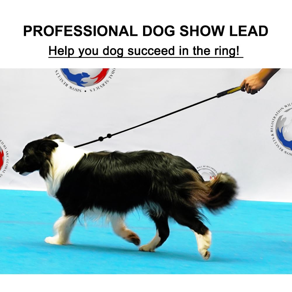 BeauGo Slip Leads for Dogs,Top Speed Training Dog Leash,2-in-1 Slip Collar Dog Training Lead & Collar,6ft Thin Slip Lead,sturdyand Durable, Leash Suitable for Small, Medium, and Large Dogs((Blue)