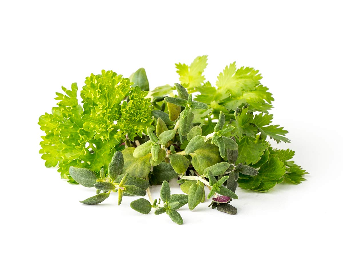 Click and Grow Smart Garden Steak Seasoning Mix, 9-Pack