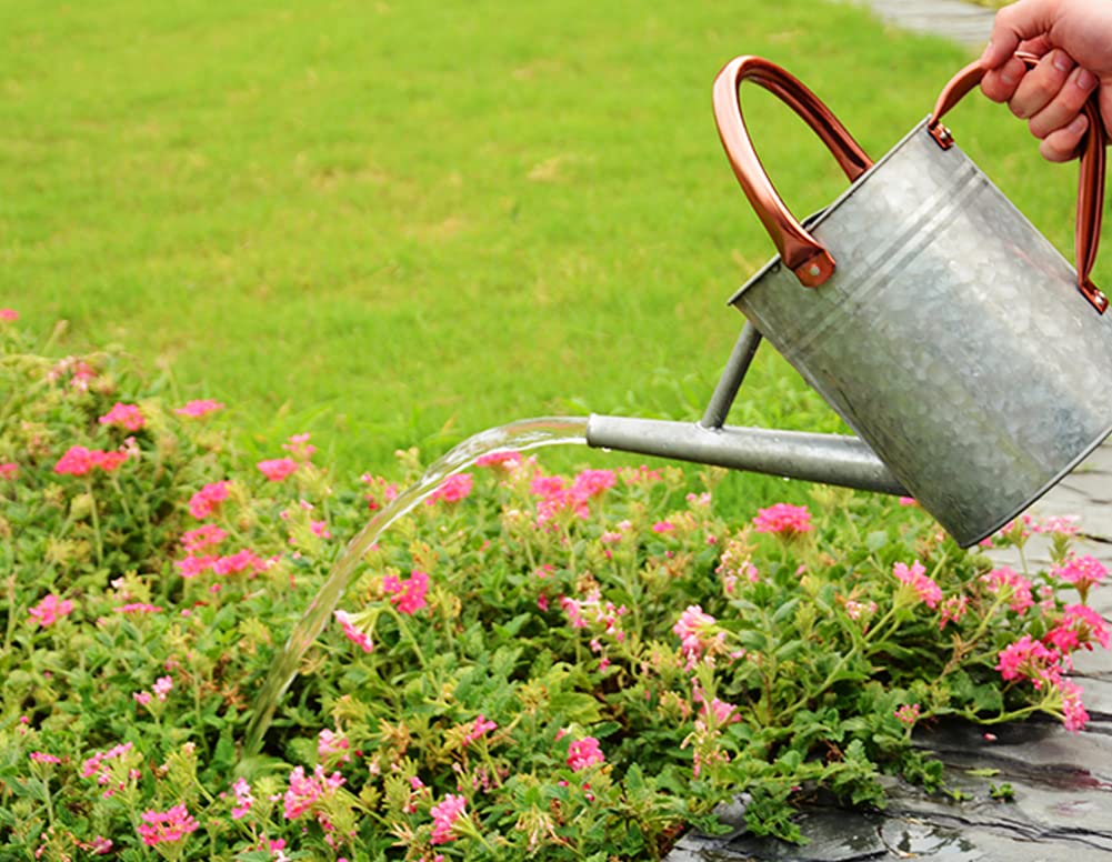 yourjoy Metal Watering Can, One Gallon Watering Cans Stainless Steel for Outdoor Indoor Garden Plants Watering (Silver)