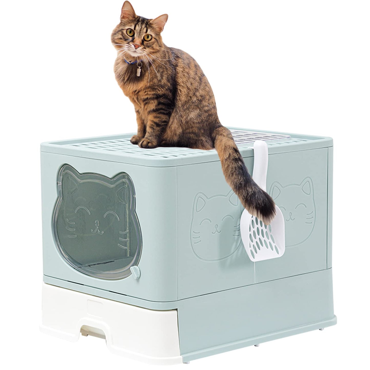 TownTime Top Entry Litter Box with Lid,Anti-Splashing Foldable Cat Litter Box with Activated Carbon Keeping The Air Fresh,Drawer Type Kitty Litter Box Easy and Quick to Clean,Large Litter Box (Green)