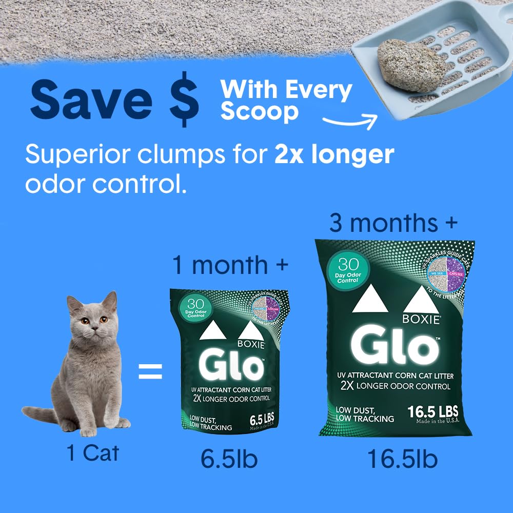 Boxie® Glo™ Natural Attractions 30 Day Odor Control Clumping Corn Cat & Kitty Litter, 6.5 lb, 99.9% Dust-Free, Plant-Based, Lightweight, Strong Clumping, UV Light Attractant for Litter Box Use