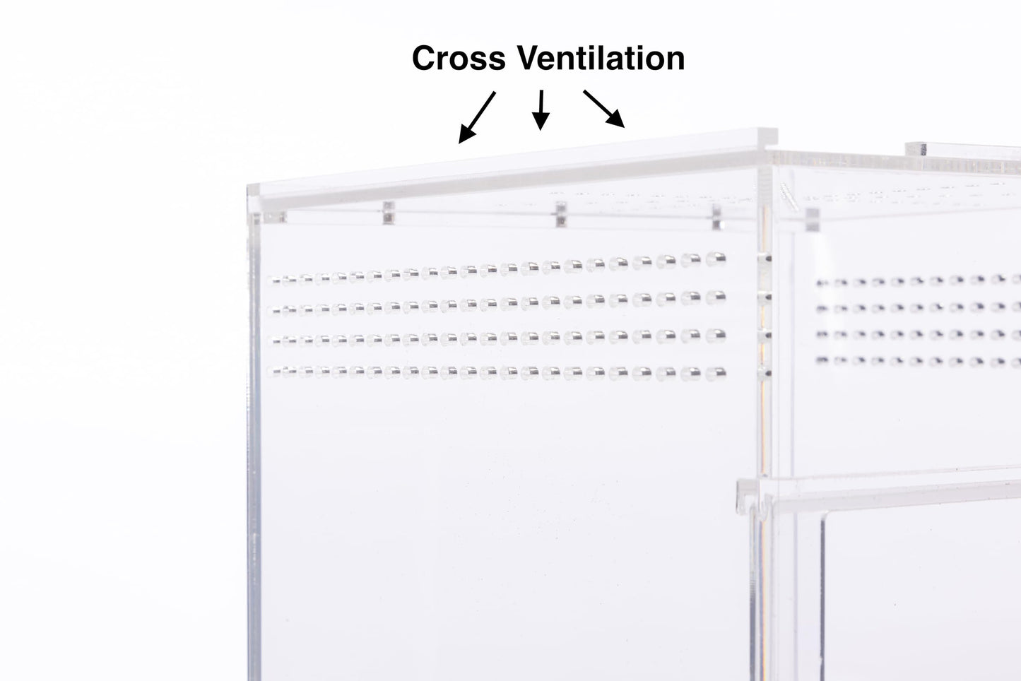 Jumping Spider Habitat and Terrarium Kit - Enclosure With Accessories for Spiders, Bugs, Insects, Snails, and Arboreal Tarantulas