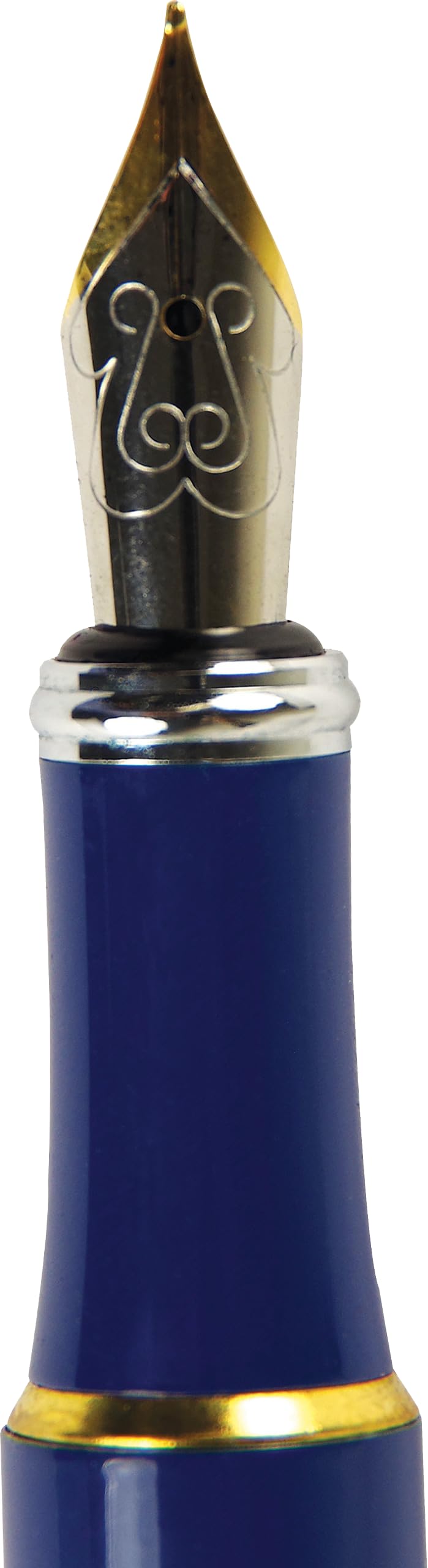 Falling Blossoms Fountain Pen with Gift Box (includes universal cartridge and piston converter)