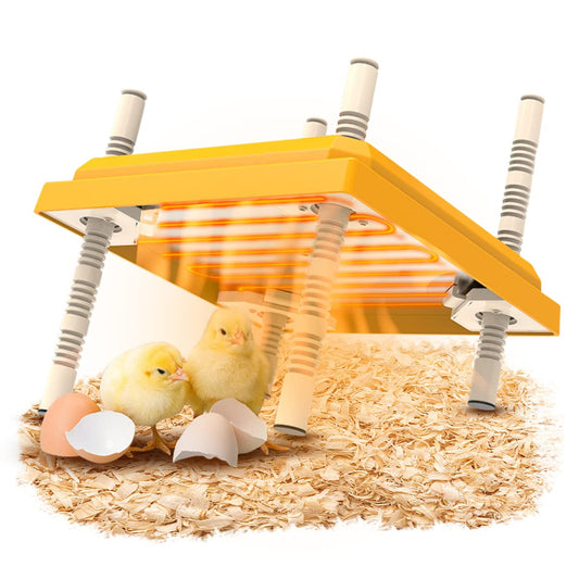 Brooder Heater for Chicks, 10”x10”Chicken Breeding Heating Plate Brooder Heating Heater Adjustable Height Chicken Incubator Heating Lamp Rutin Chicken Brooder Suitable for 15 Chicks (Colour)