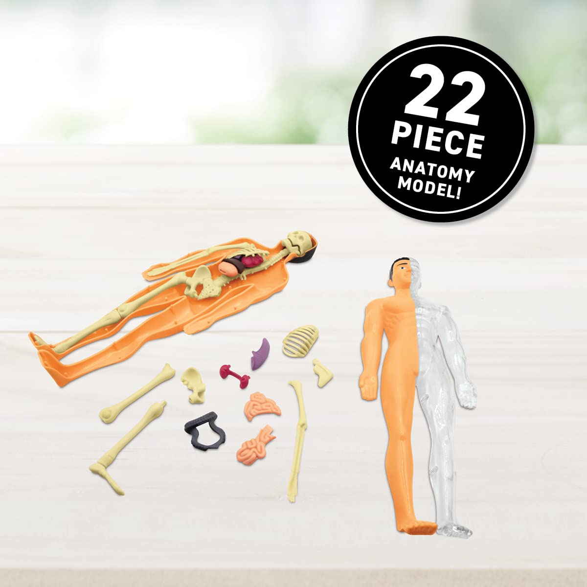 Abacus Brands Virtual Reality Human Body - Illustrated Interactive VR Book and STEM Learning Activity Set