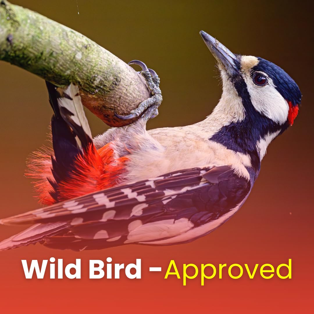 Chirp & Maple, Peanuts for Wild Birds, No Shell, Wild Bird Food, 4.5KG (10LB) Bag