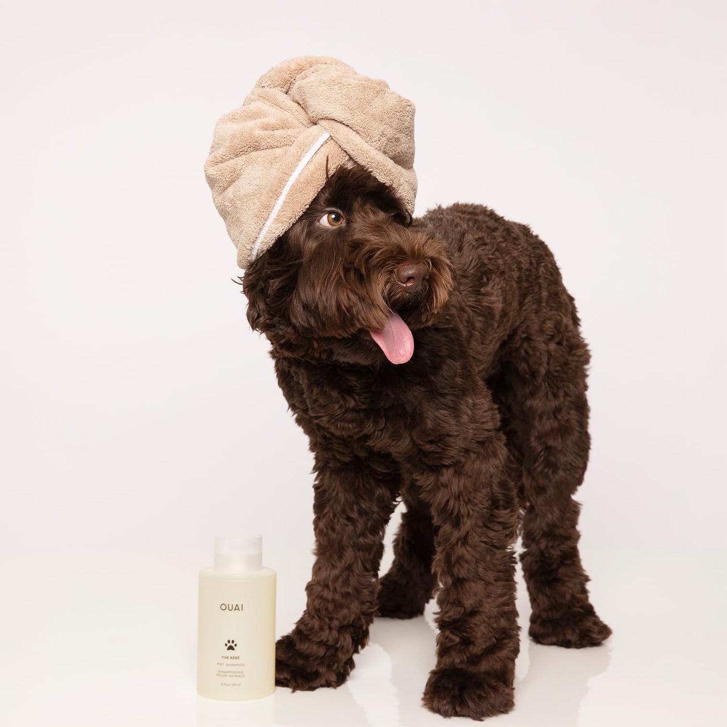 OUAI Fur Bébé Pet Shampoo - Cat & Dog Shampoo for Gentle Cleansing, Hydration & Shine - Vegan & Cruelty-Free Pet Supplies with Aloe Vera & Panthenol - Mercer Street Scent (16 Fl oz)