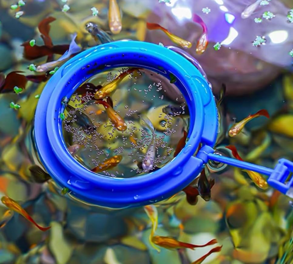 31.5-Inch Long Coral Reef Grabber, Aquarium Veggie Feeder, Food Clip Feeding (Anti-Rust)