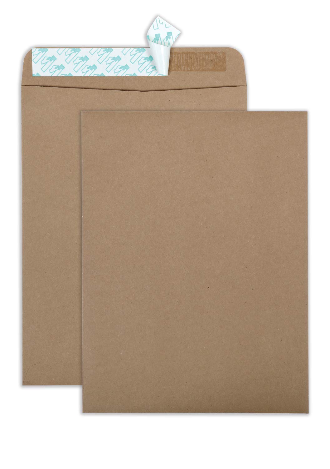 Quality Park 100-Percent Recycled Kraft Catalog Envelope, 9-Inch X 12inches, Kraft, Redi-Strip, 100 Count (44511)