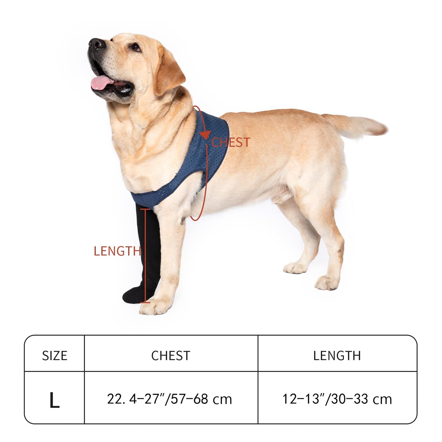 COODEO Dog Socks to Prevent Licking Paws, Healing Boots & Paw Protectors with Non-Slip Bottoms for Wound Protection, Waterproof Sleeve Shoes for Licking（Blue，L_Right