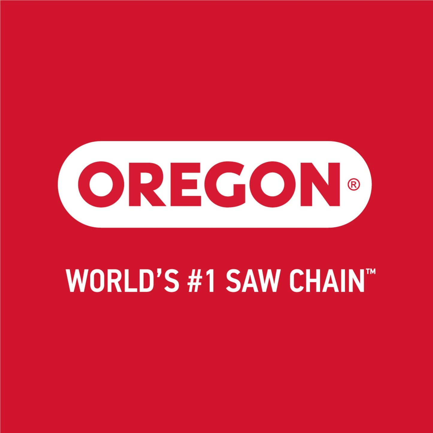 Oregon ControlCut Saw Chain 18 in. 0.063 Gauge 0.325 in. Pitch Chainsaw Chain, 74 Drive Links