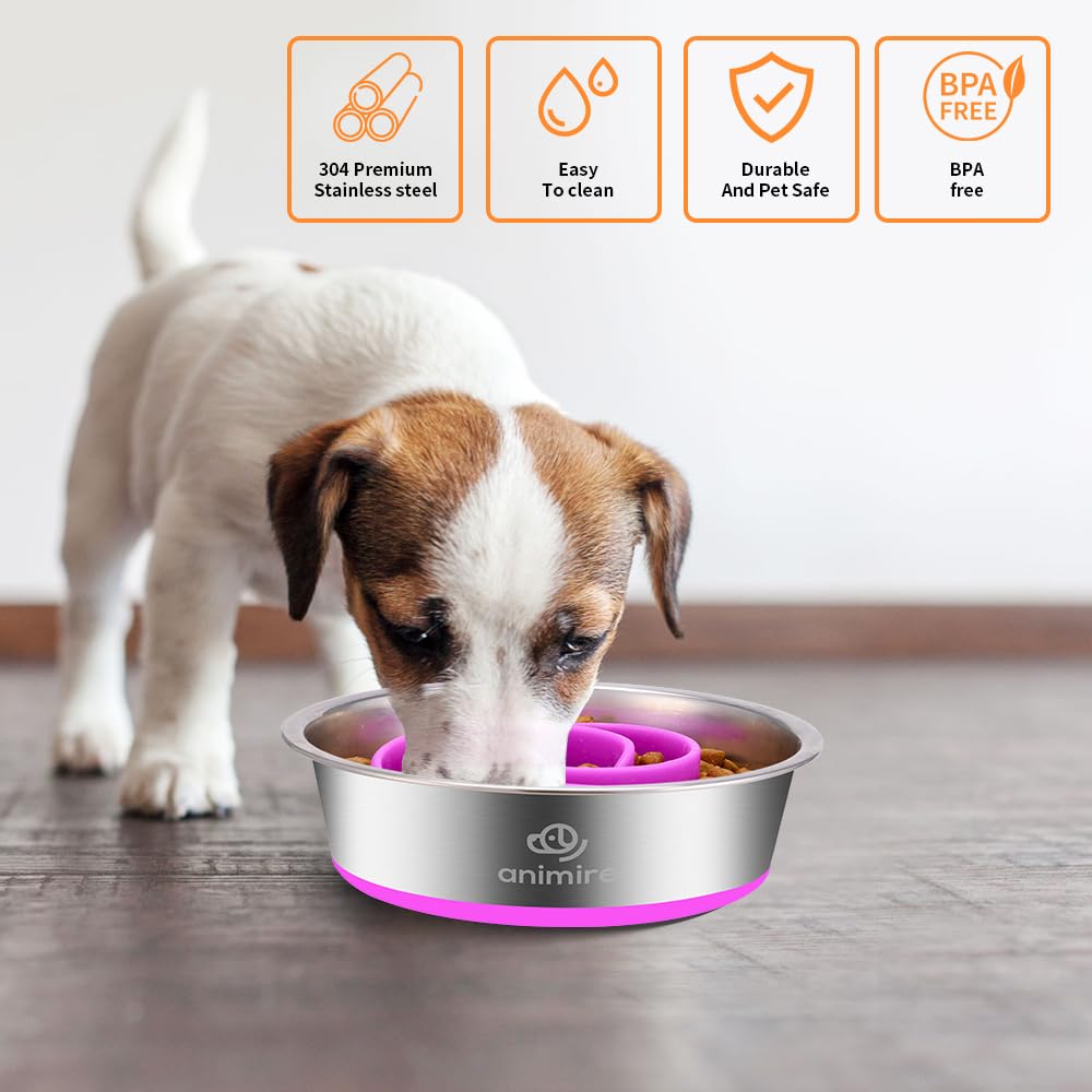2-in-1 Metal Dog Bowl with Slow Feeder Insert, Stainless Steel Dog Bowls Food Grade 304, Water Food Bowl with Anti-Slip Silicone Base for Small, Medium, Large Dogs
