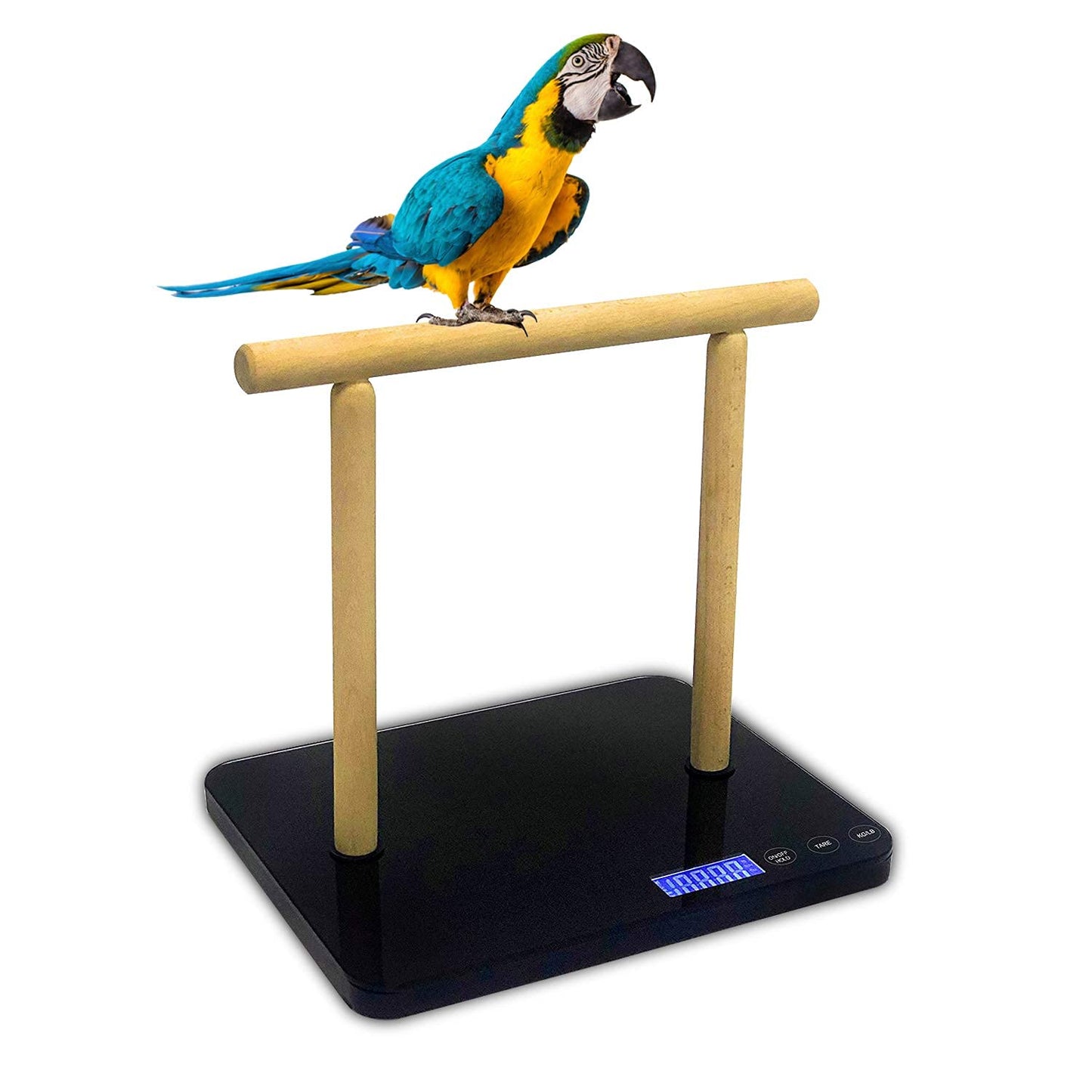 MINDPET-MED Digital Bird Scale with Perch, Max 44lbs, Black, Suitable for Parrot and All Kinds of Bird