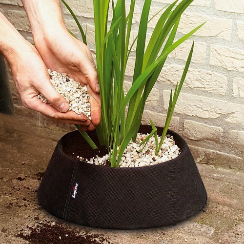 Laguna Floating Plant Basket Kit, 10" and 14", Black (PT979)